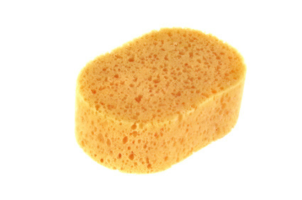 spugne bagno
